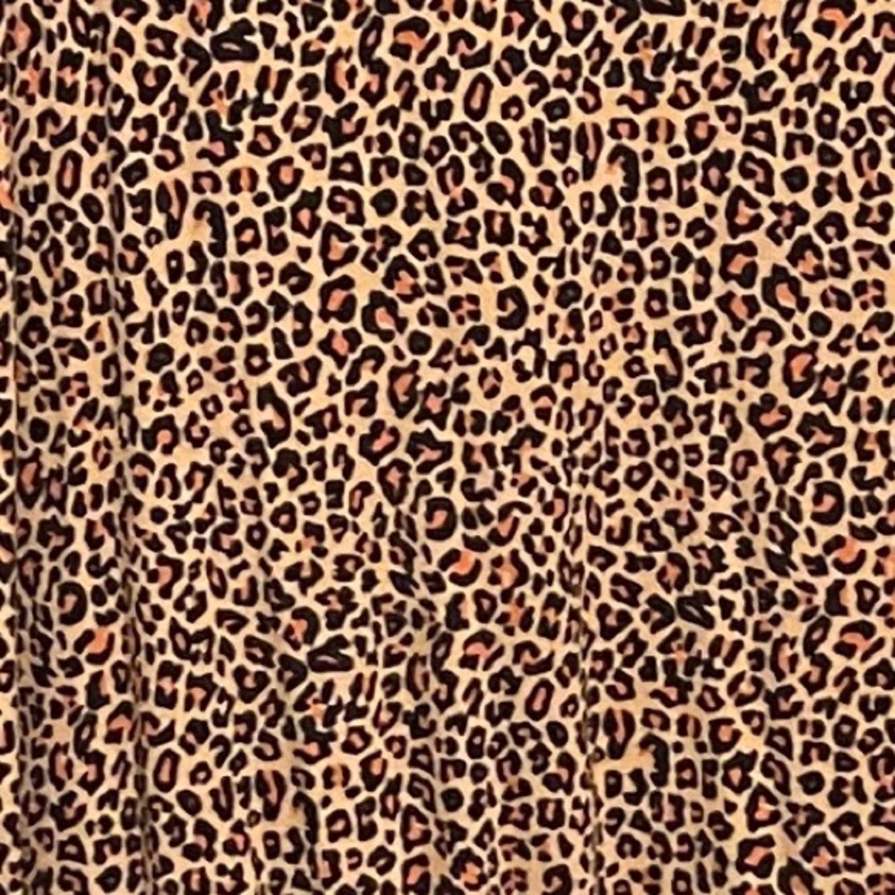 Leopard Print Tunic